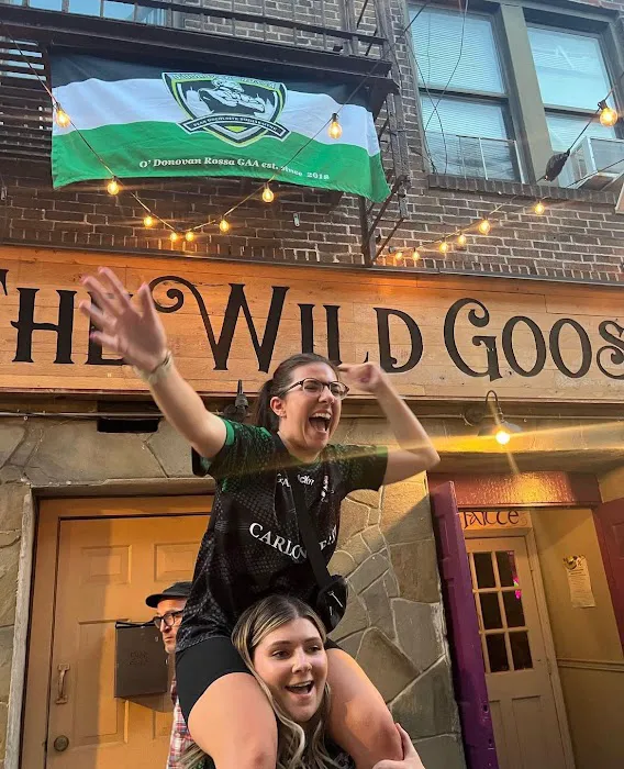 The Wild Goose Picture 1