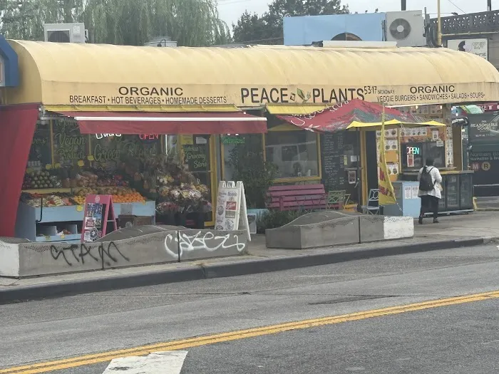 Peace “N” Plants Restaurant Picture 4