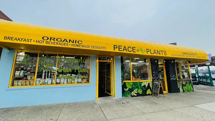 Peace “N” Plants Restaurant Picture 2