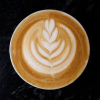Mighty Oak Roasters ico