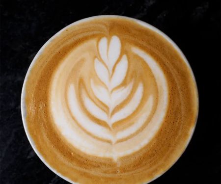 Mighty Oak Roasters