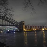 Aloha NYC ico
