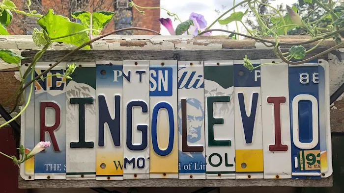 Ringolevio Picture 2