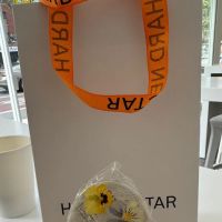 HARD NECTAR ico