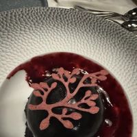 Reverie Vegan Restaurant and Cocktail Bar ico