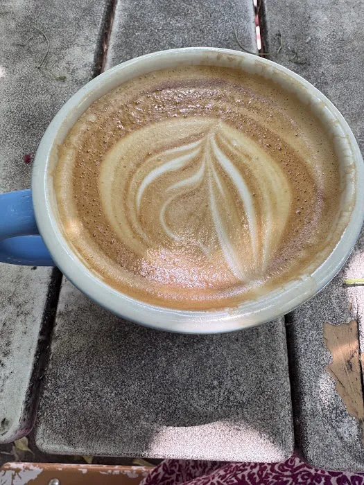 The Chipped Cup Picture 2