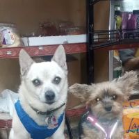 20 N 5th St Deli ico
