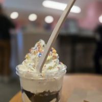 Van Leeuwen Ice Cream ico