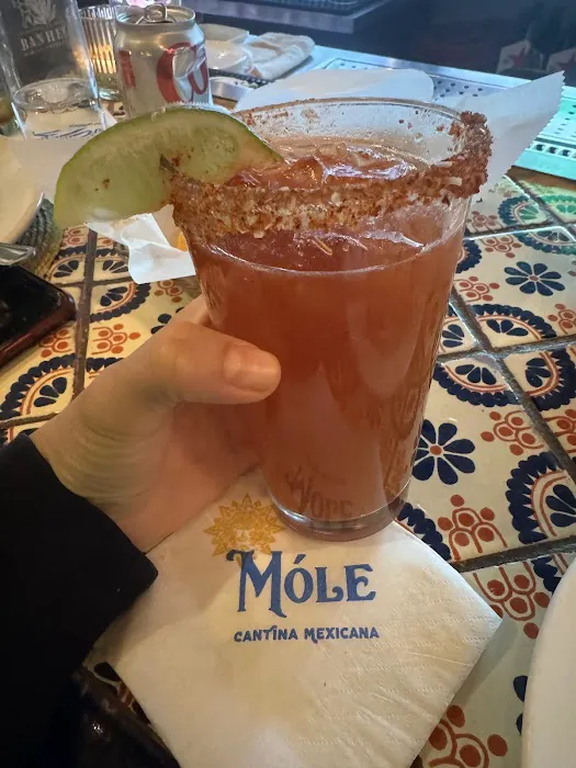 Móle Mexican Bar & Grill - Williamsburg Picture 8