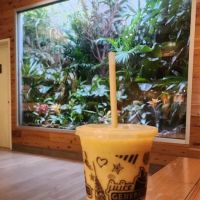 Juice Generation ico