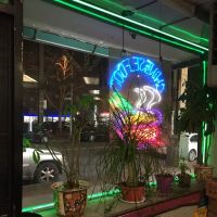 Panda Garden ico