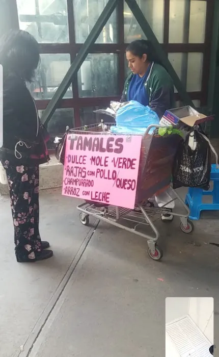 Tamales mexicanos la familia Picture 3