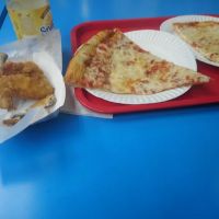 New Texas Fried Chicken & Pizza (Halal) ico