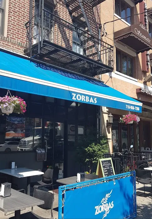 Zorbas Picture 4