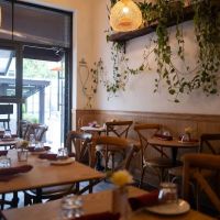 Levantine - Mediterranean Cuisine ico