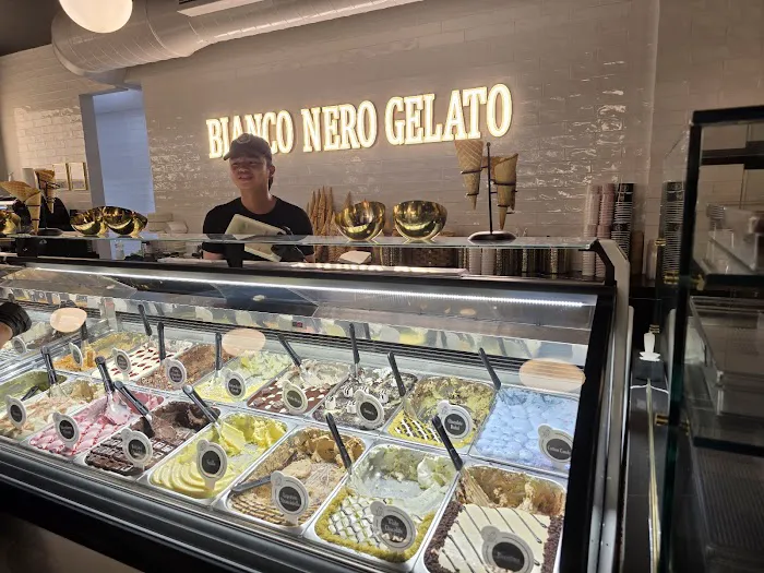 Bianco Nero Gelato Picture 1