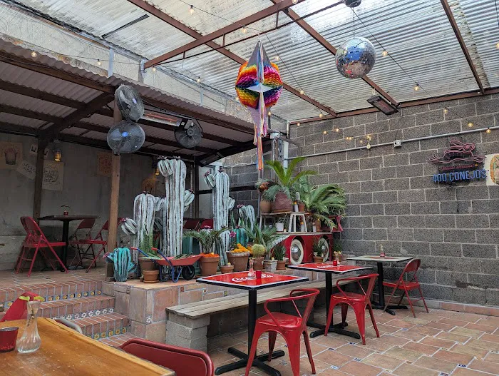 The Cactus Shop Picture 5