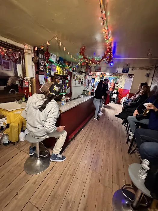 Caribbean Social Club Picture 3