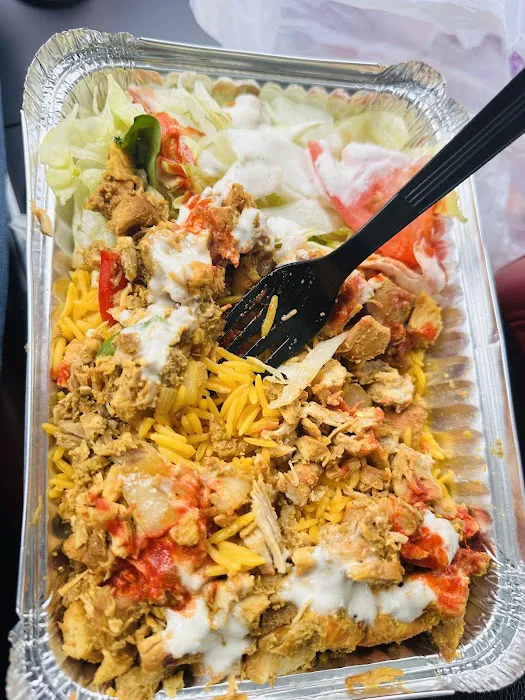 Williamsburg Halal Food (Bonjour Habibi) Picture 3