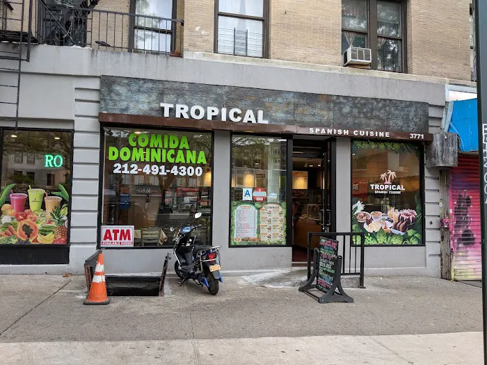 Tropical Picture 4