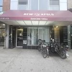 New Apolo