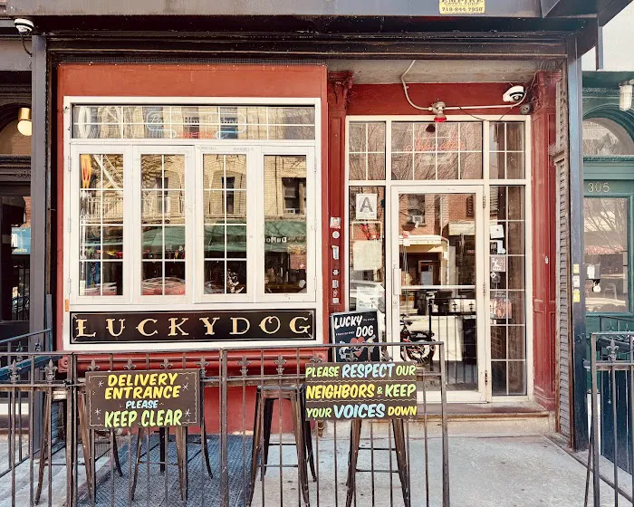 Lucky Dog Picture 1