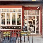 Lucky Dog