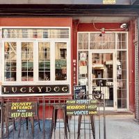 Lucky Dog ico