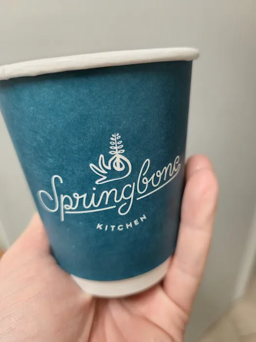 Springbone Kitchen Picture 10