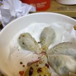 Nan Xiang Express - Williamsburg, NY