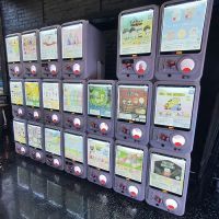 PARTEA NYC XP - Williamsburg ico