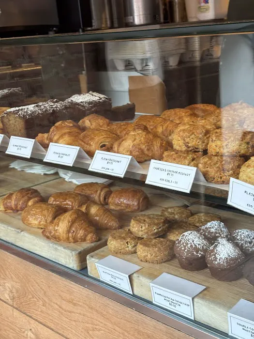 Alita Cafe Picture 10