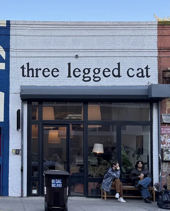 three legged cat Picture 1