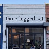 three legged cat ico