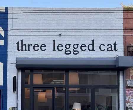 three legged cat