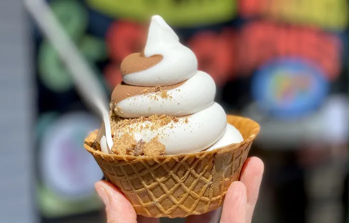 Ice cream king of Brooklyn LLC Picture 5