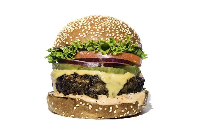 BK JANI Picture 10