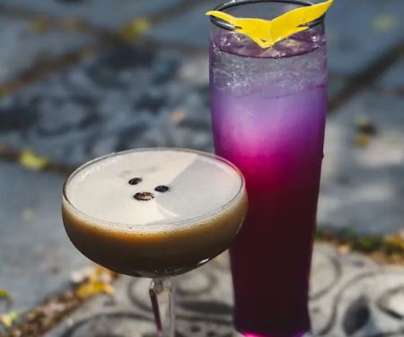 Medusa Bar Bk