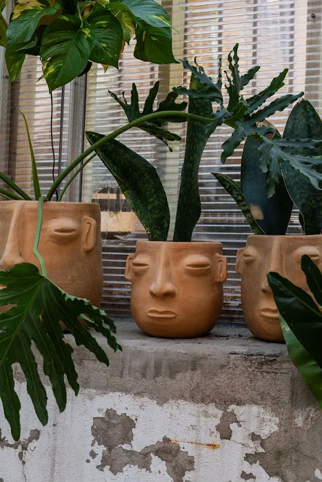 Patio Tropical Picture 3