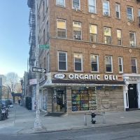 Organic Deli ico
