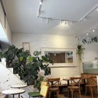 Canary Cafe ico