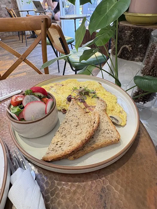 Canary Cafe Picture 3