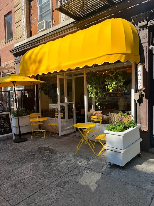 Canary Cafe Picture 8