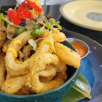 Mamasushi ico