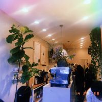 Ants Coffee ico