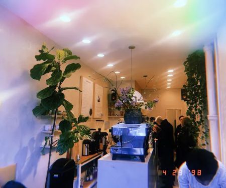 Ants Coffee