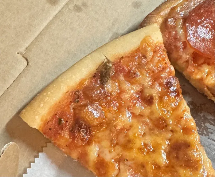 Elmhurst Famous Pizza Picture 5