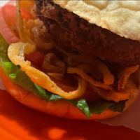 Shake Shack Jackson Heights ico