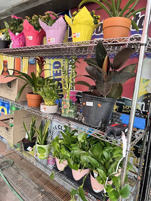 Corner 81 deli & grocery Picture 3