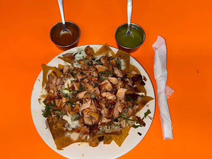 Taqueria El Fogon Picture 9